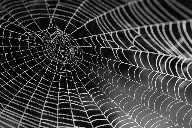 Web Design Icon
